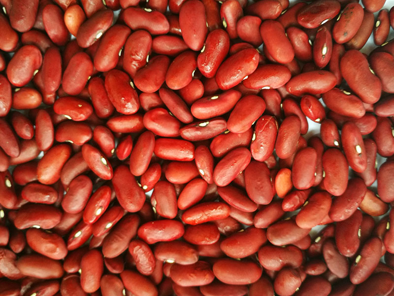 RED BEANS