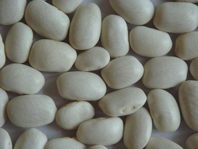 WHITE BEANS