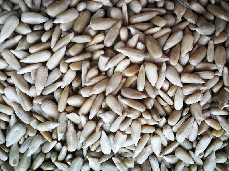 SUNFLOWER SEED KERNEL (2)