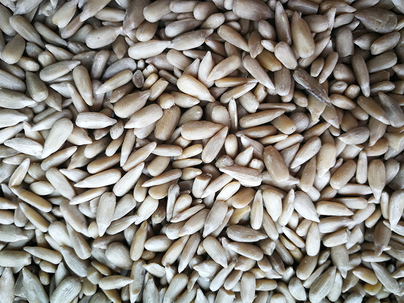 SUNFLOWER SEED KERNEL (3)