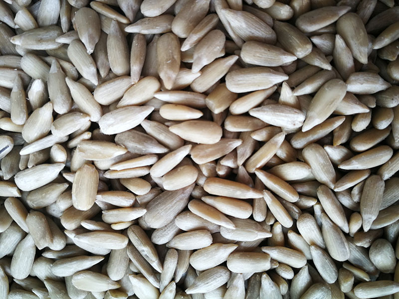 SUNFLOWER SEED KERNEL