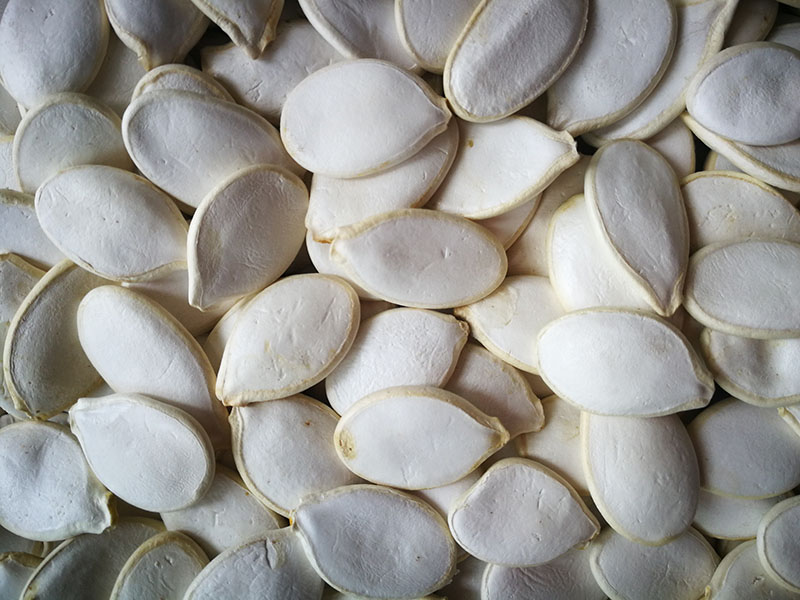 SNOW WHITE PUMPKIN SEEDS (2)